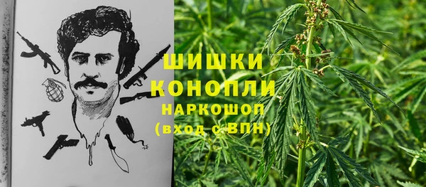 ешки Карпинск