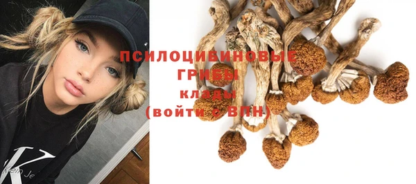 MESCALINE Карталы