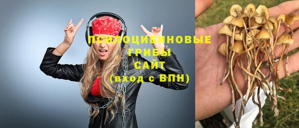 первитин Касимов