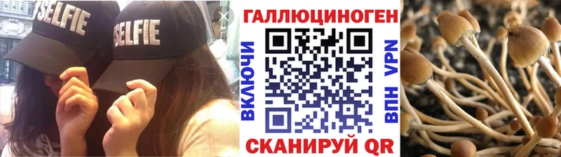 Галлюциногенные грибы Psilocybe  Купить  Дальнереченск 